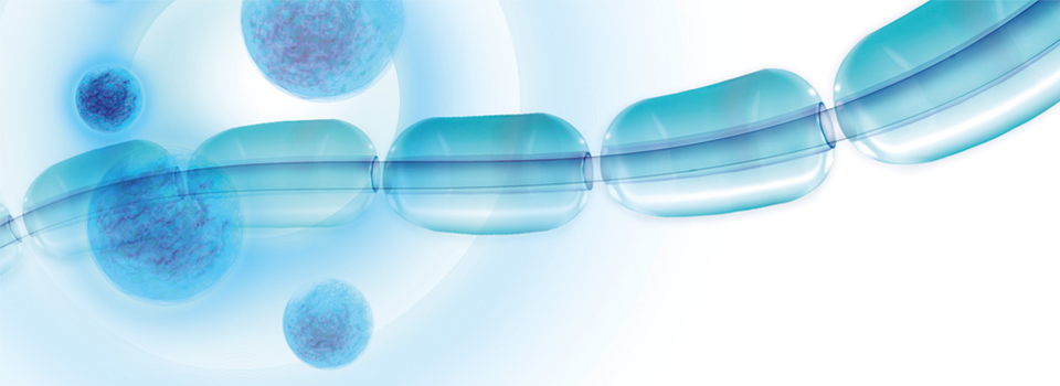 Care4MS - Teva Neuroscience digital platform